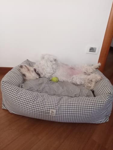 Customer photo review of Divanetto Cotone Vichy Grigio Scuro