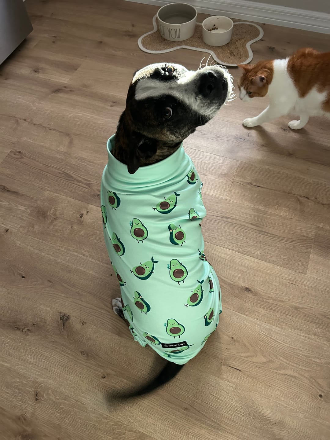 Customer photo review of Dog Pajama Prints
