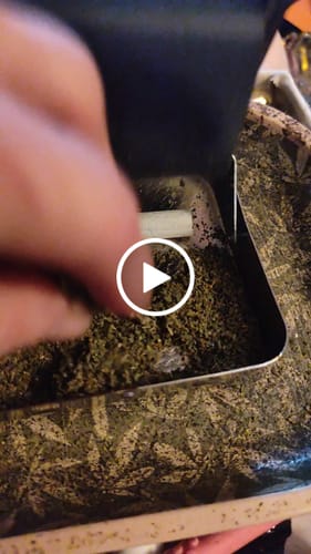 Customer video review of Sugar Shake - 1oz