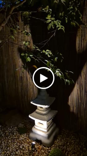 Customer video review of GardenBrite™ Solar Spotlight Pack [PRESALE]