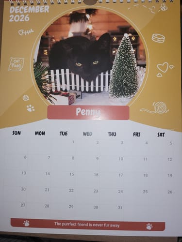 Customer photo review of Official Pupvote Cutest Pets of the Year Calendar (2026)