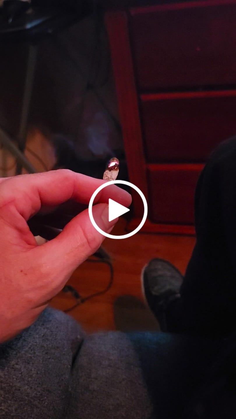 Customer video review of POWDERED DONUT BLUEBERRY MUFFIN