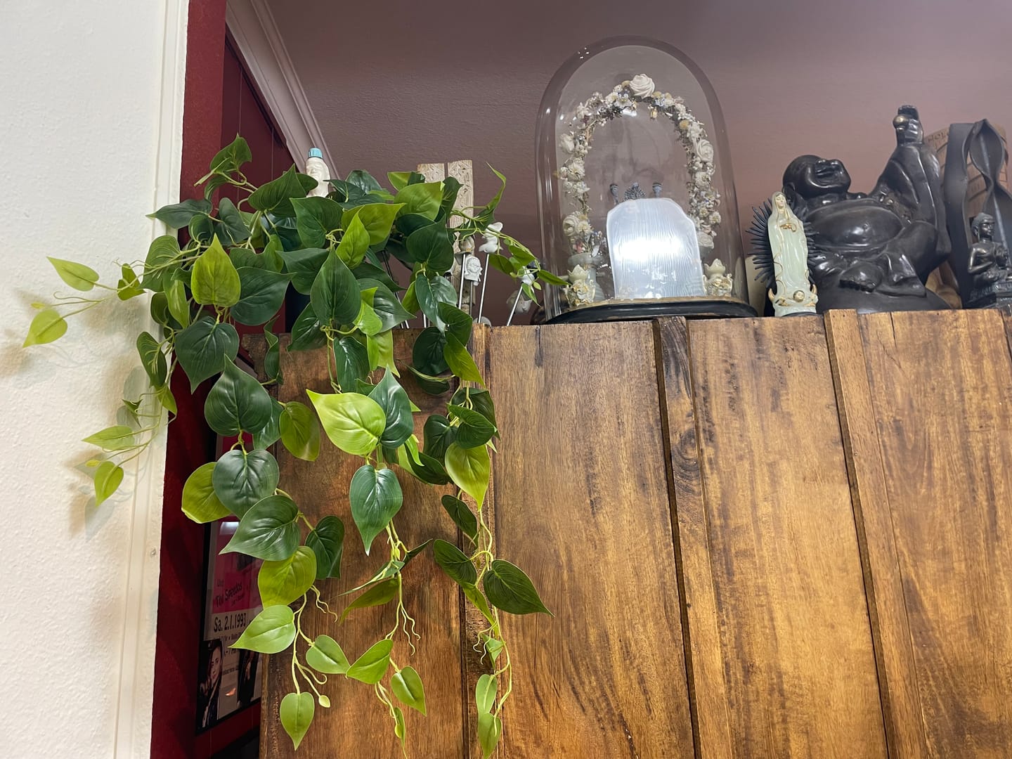 Customer photo review of Philodendron künstliche Hängepflanze 90cm