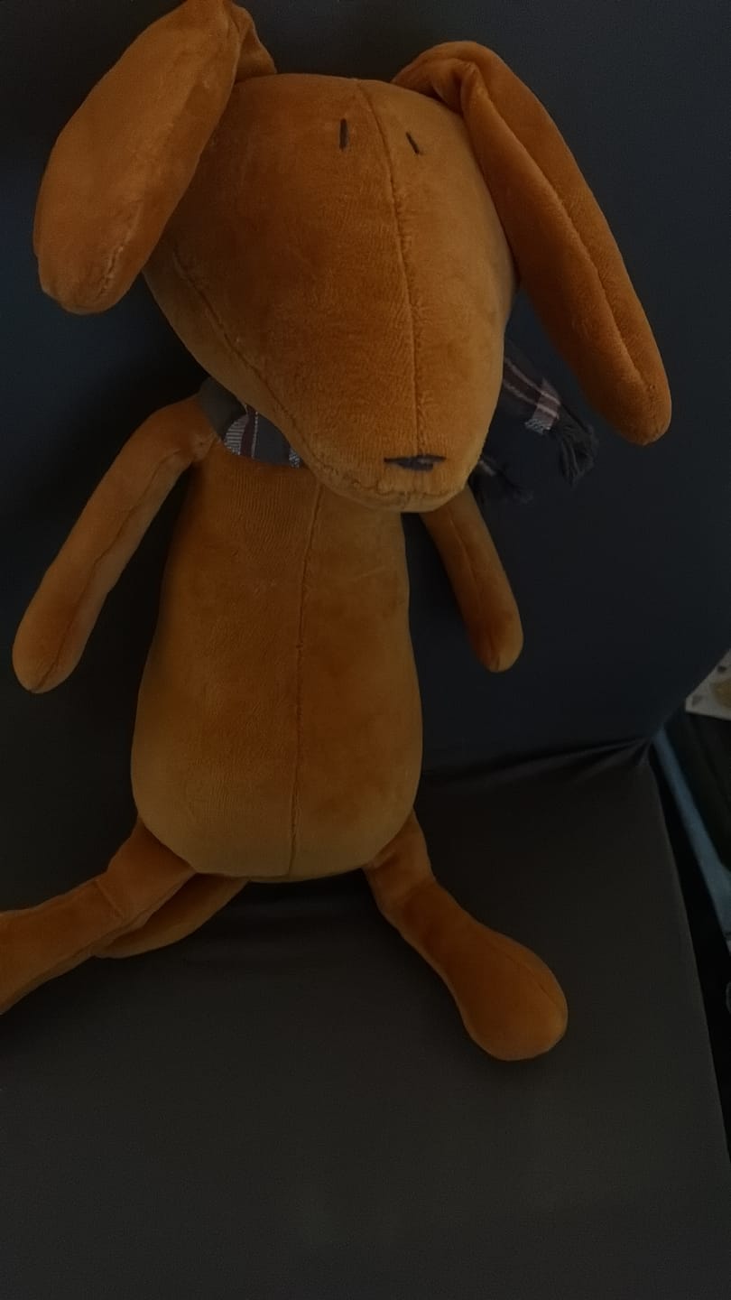 Customer photo review of SCOTT LE TECKEL - L