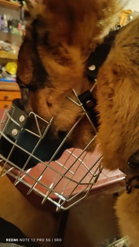 Customer photo review of Maulkorbmodelle