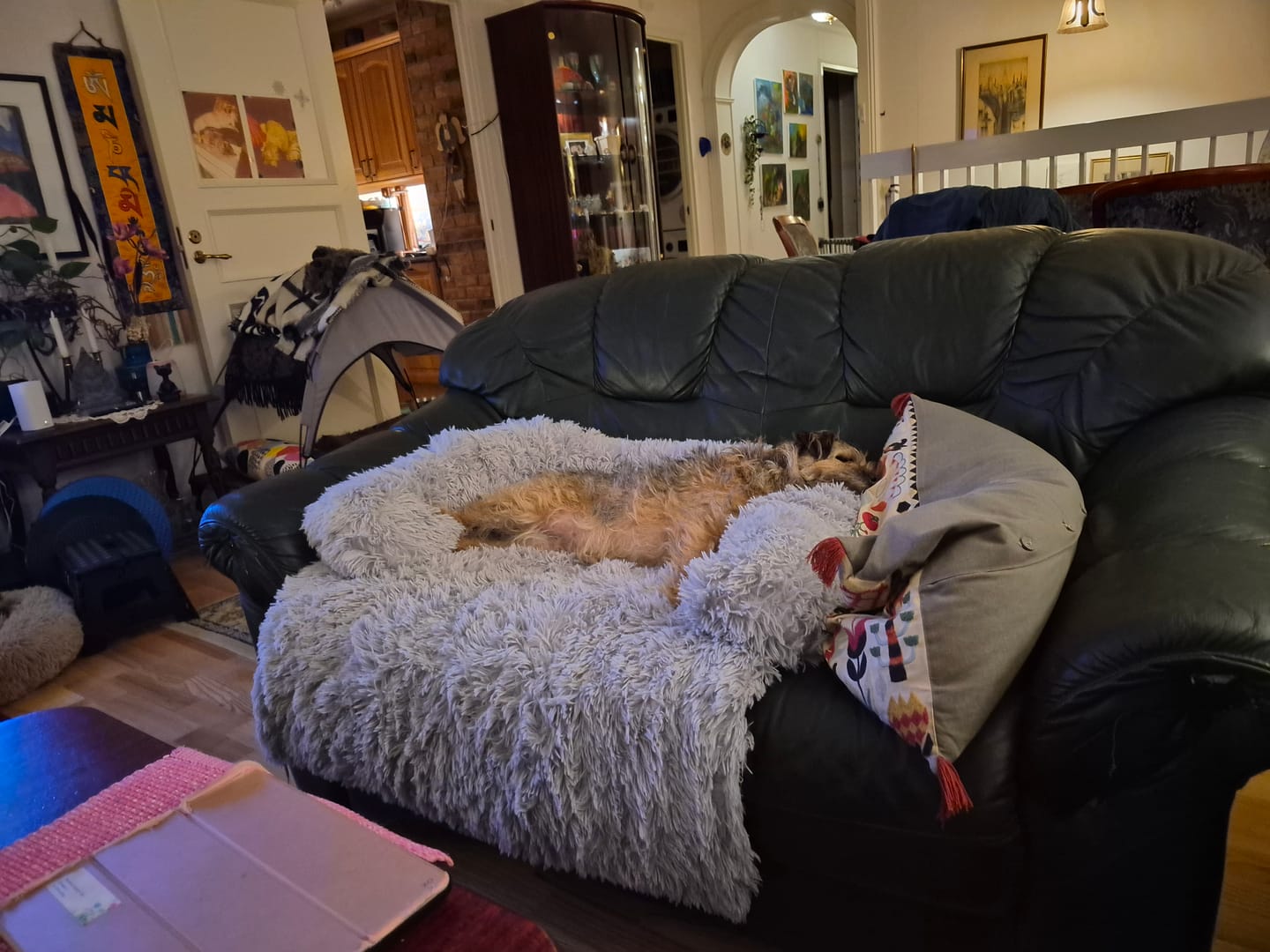 Customer photo review of CalmCouch - Motverkar ångest & skyddar din soffa