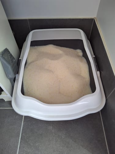 Customer photo review of 1 Month Supply – 1 Cat