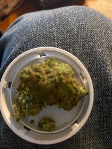 Customer photo review of Shipping Protection by Route