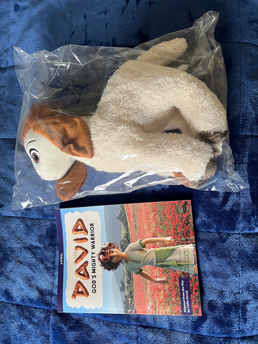 Customer photo review of DAVID: God’s Mighty Warrior Children's Book - PREORDER