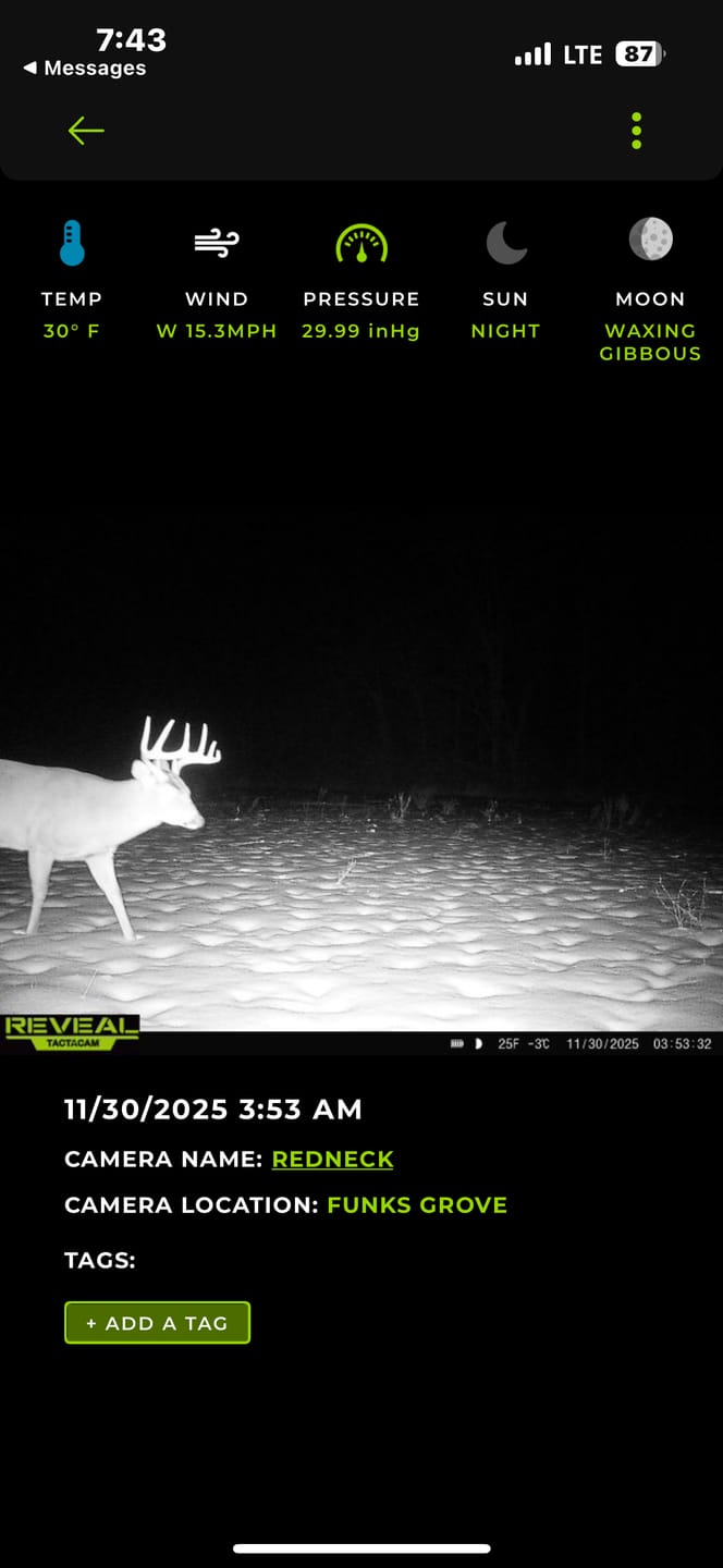 Customer photo review of Whitetail Hill Clover