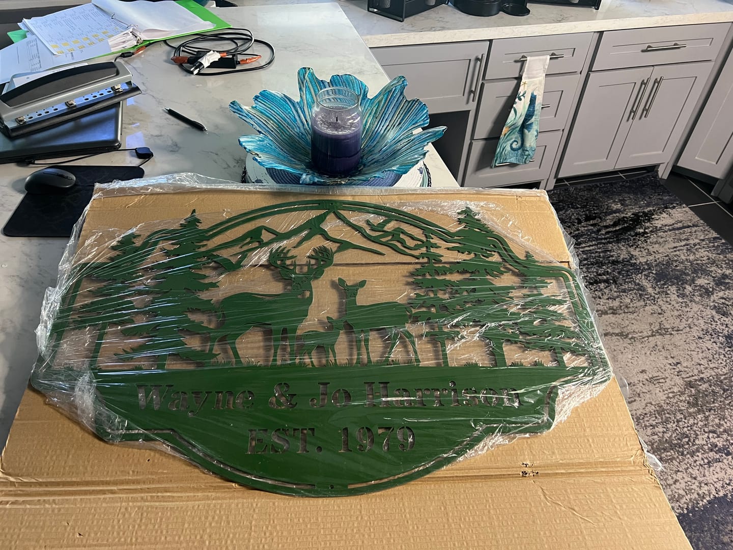Customer photo review of Forest View Metal Sign