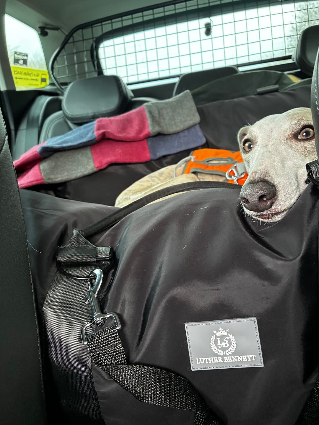 Customer photo review of Travel Dog Pod XL - Now With Isofix