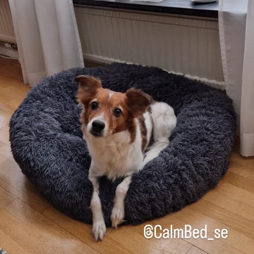 Customer photo review of CalmBed - Motverkar stress & hjälper mot ångest