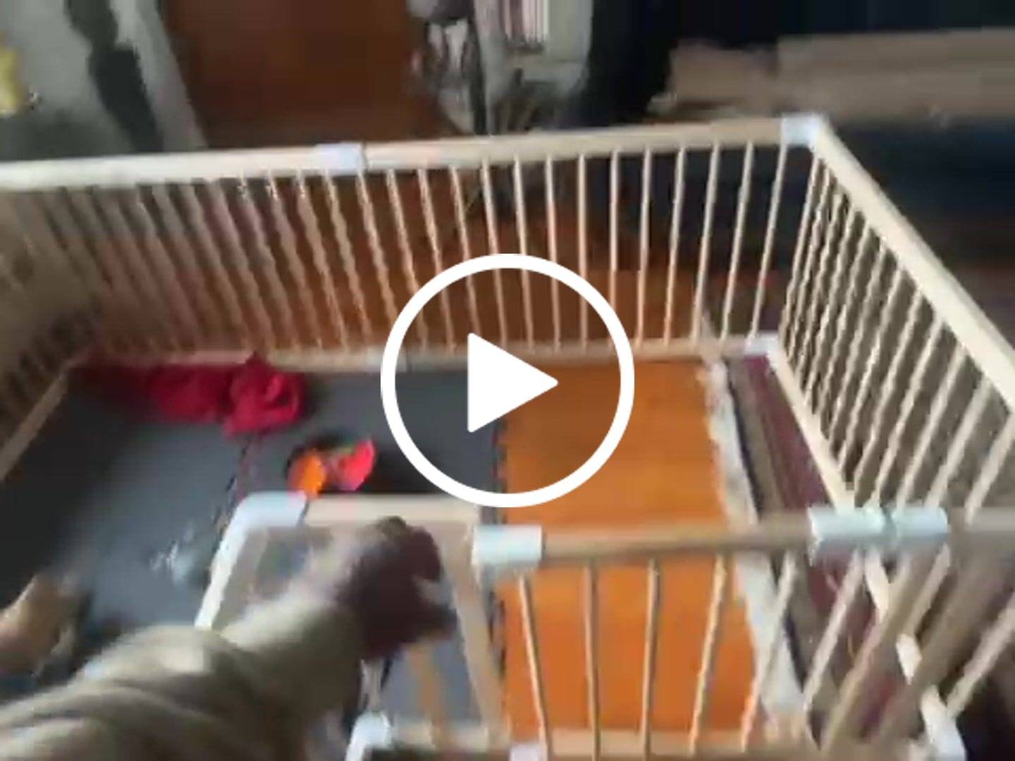 Customer video review of HARPPA Grovi | Baby Gate Playpen & Fence for Babies and Toddlers