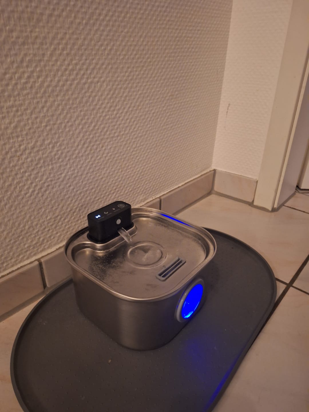 Customer photo review of Filter 24 Monatsvorrat für PfotenBrunnen™
