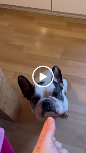 Customer video review of Lucky Belly Hypoallergen