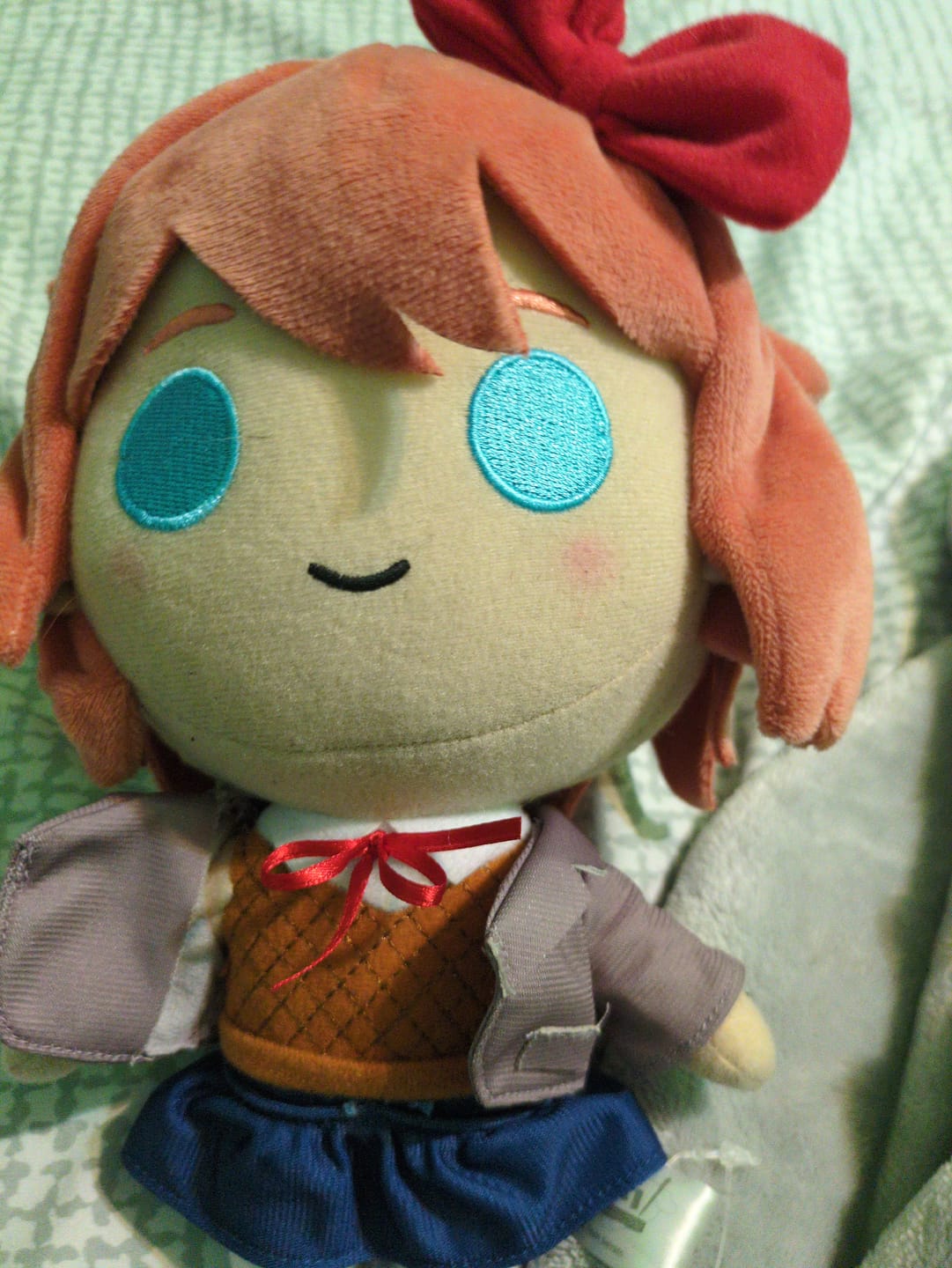 Customer photo review of Doki Doki Literature Club - Sayori Collector's Plush