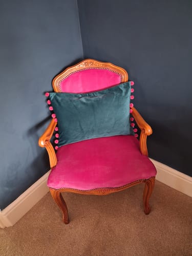 Customer photo review of Fabric Paint -- Raspberry