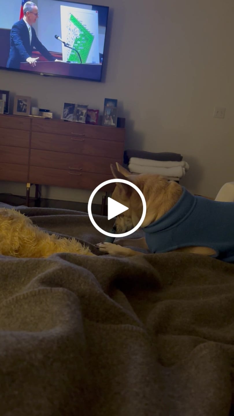 Customer video review of Blueberry Yak Chews
