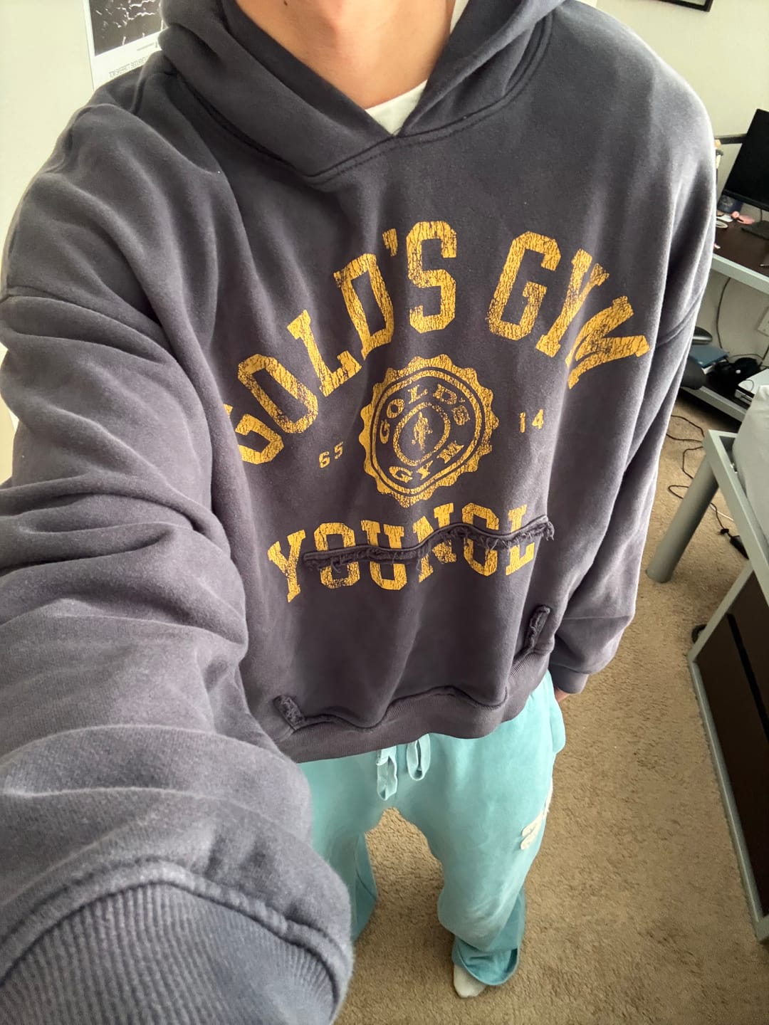 Customer photo review of 5167 - Gold's Iron Legacy Crest Hoodies