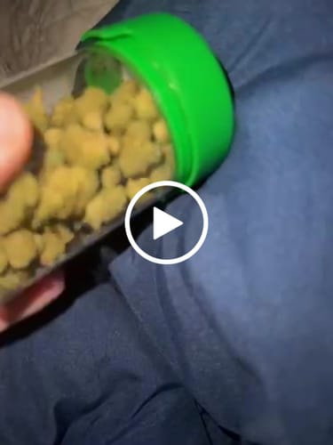 Customer video review of PAPAYA POWER THC Flower Hybrid Exotic Smalls THCa 14g 28g 114g 1/4 lb QP