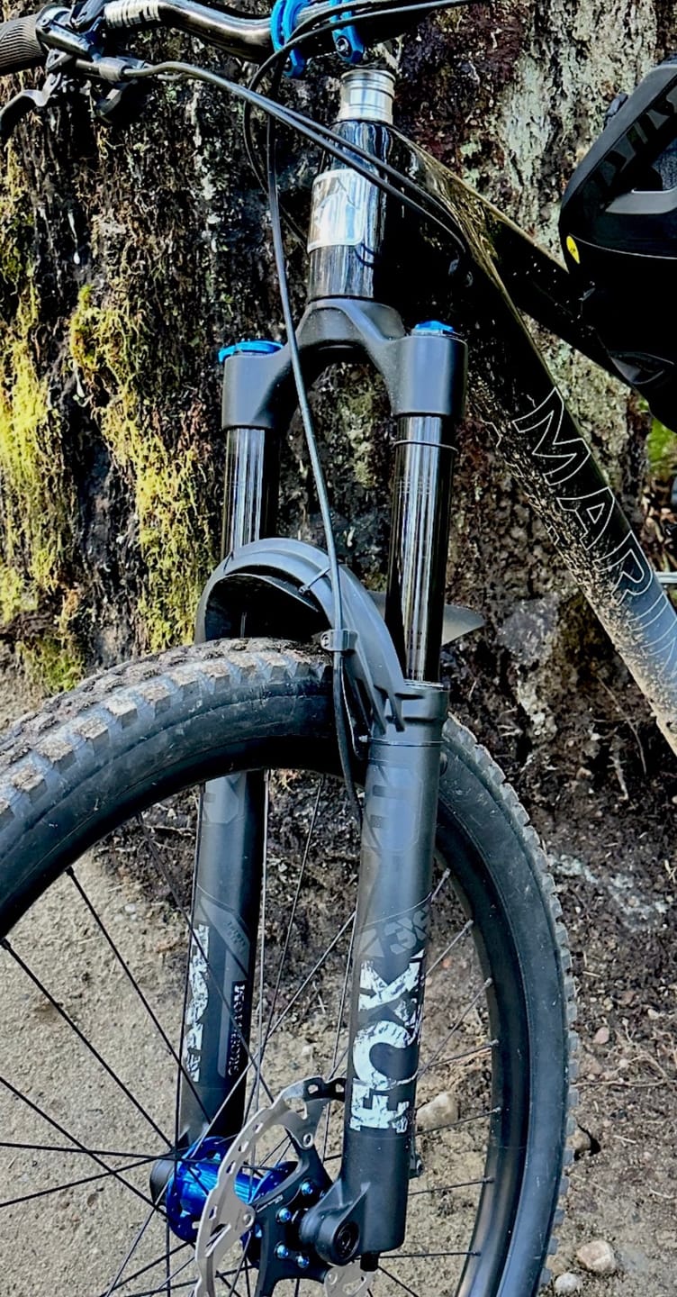 Customer photo review of Custom Fox 36 Decal