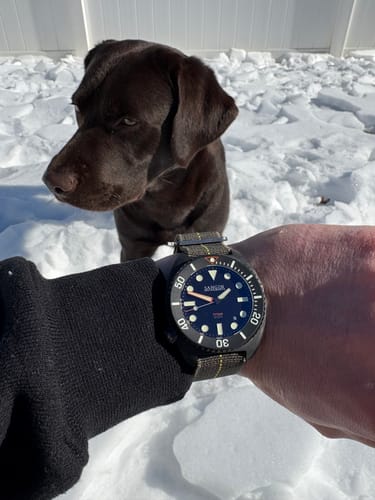 Customer photo review of Titan