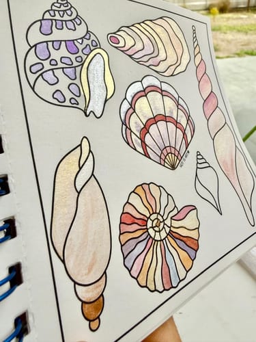 Customer photo review of LIBRO ELEMENTOS