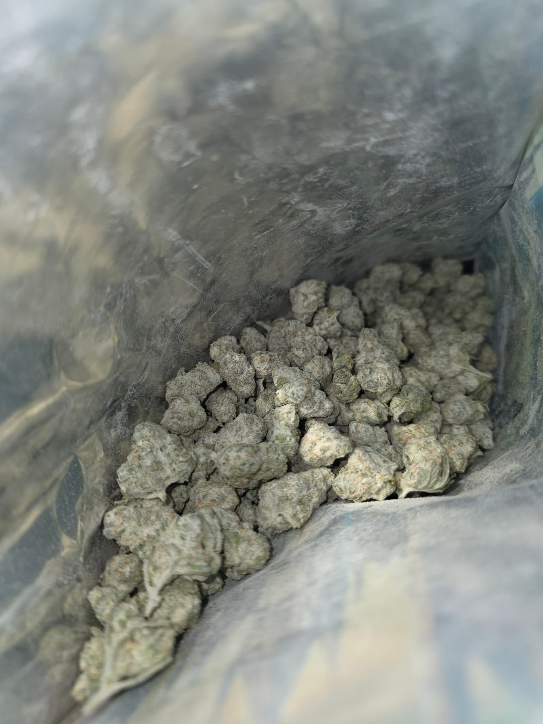 Customer photo review of THCA Snowballs - 67% THCA