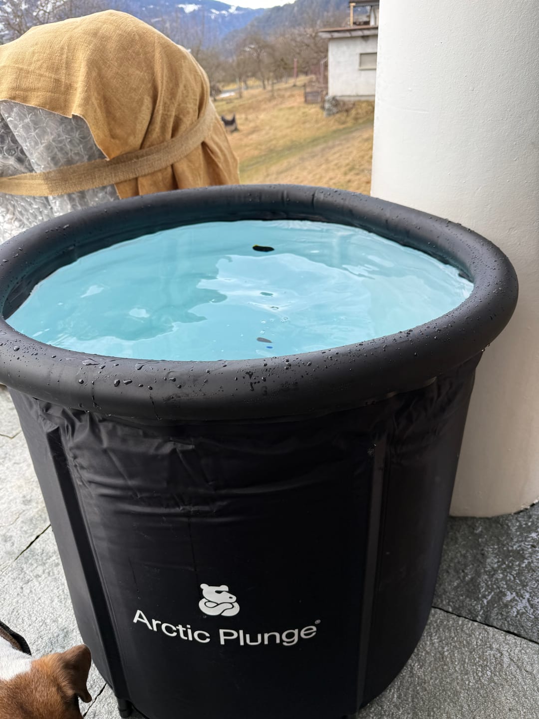 Customer photo review of Eisbad Starter 2.0