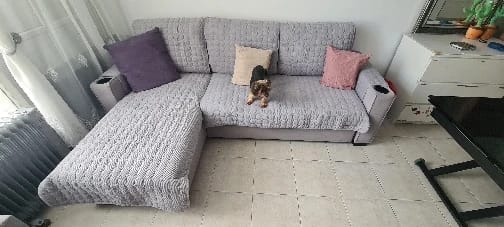 Customer photo review of Housses Protège Canapé - Antidérapant Matelassés - Animaux, Chien & Chat