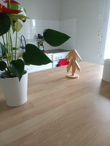 Customer photo review of Mon petit pin®