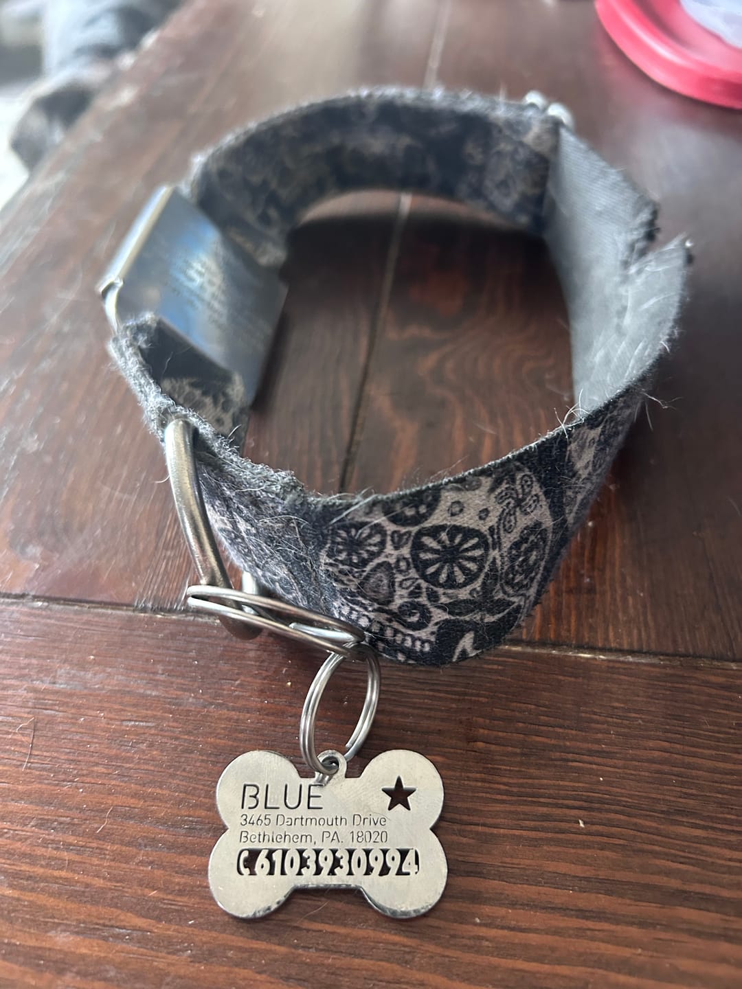 Customer photo review of Hollow-carved Dog ID Tags
