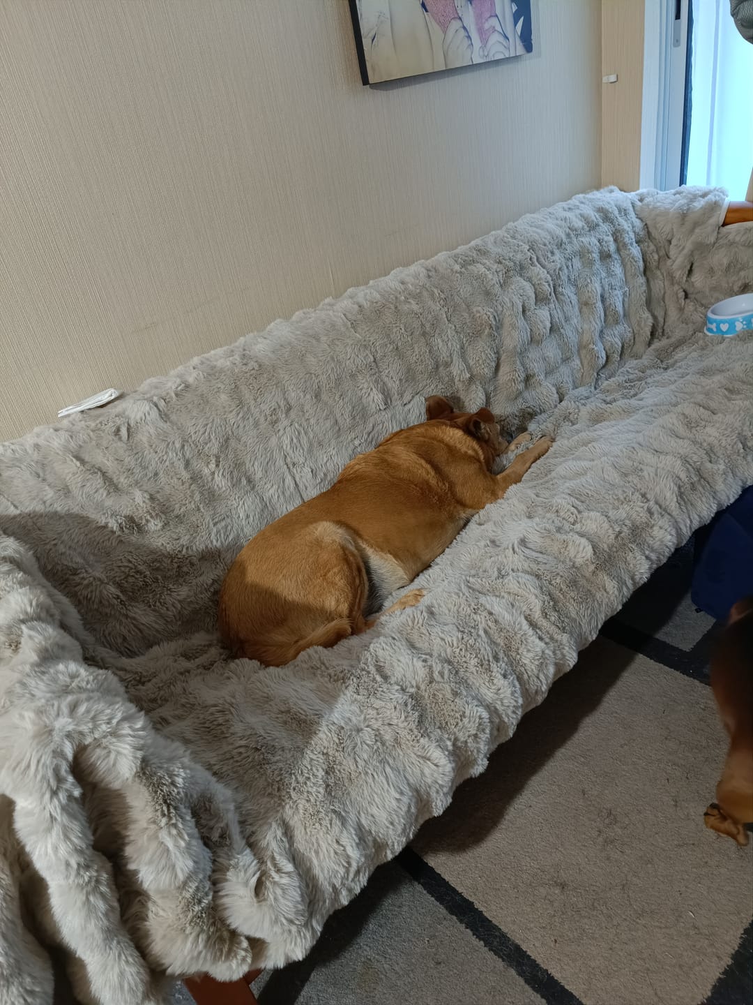 Customer photo review of Cubre Sofá Piel de Conejo — Lujo suave que protege tu sofá
