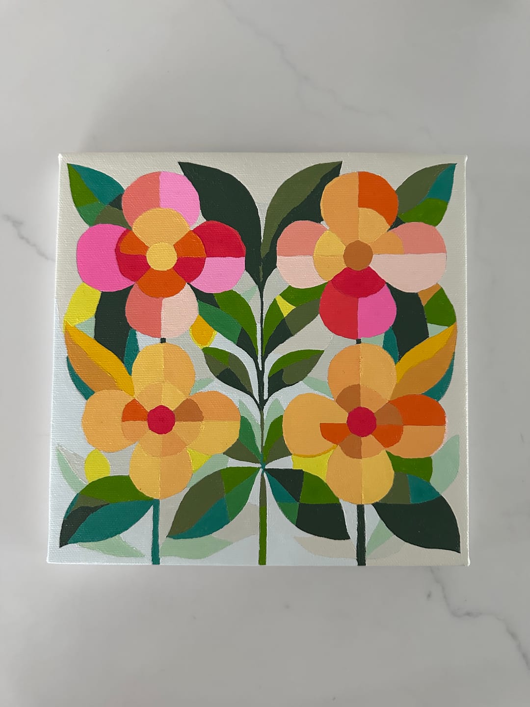 Customer photo review of Vibrant Picks