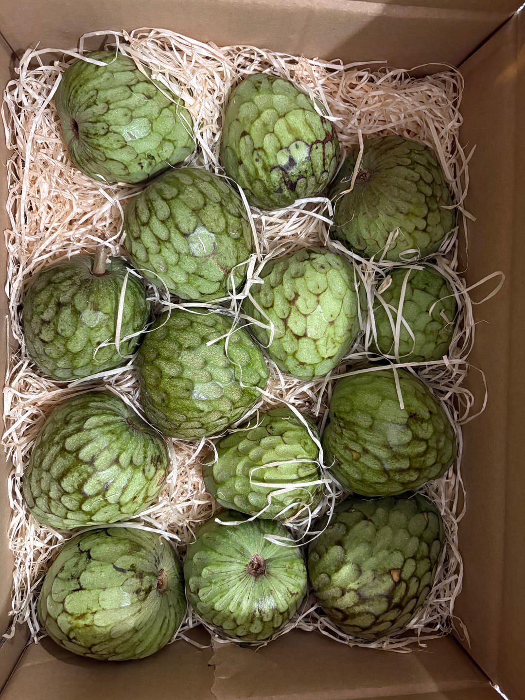 Customer photo review of Cherimoya Bio von Julian