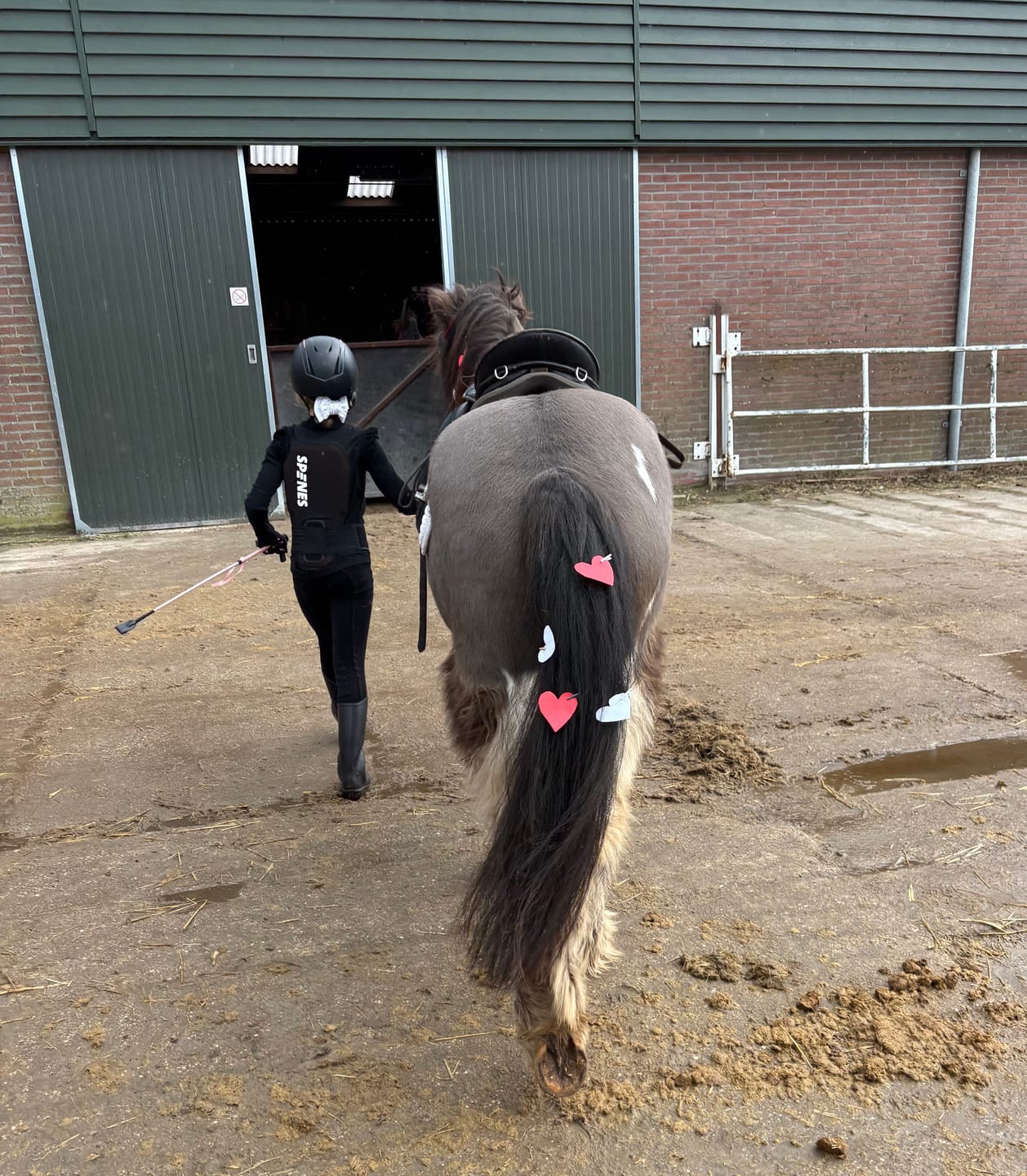 Customer photo review of Spines Kinder Rugbeschermer