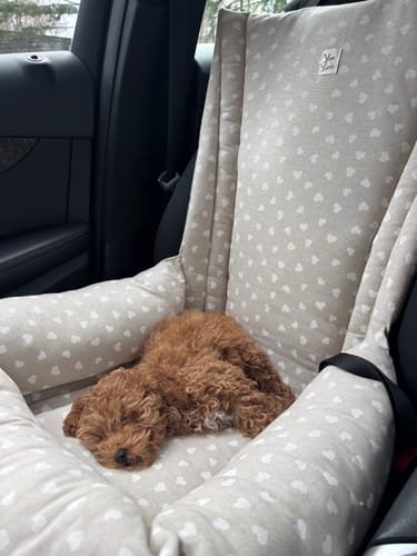 Customer photo review of Seggiolino Auto Cotone Panama Little Love Heart White