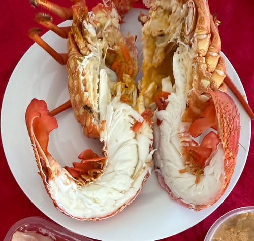 Customer photo review of Live NZ Red Crayfish