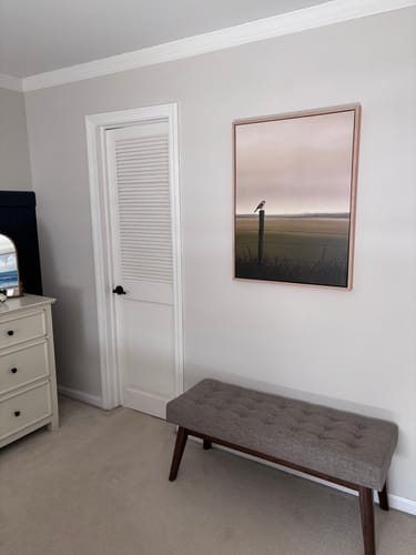 Customer photo review of Morning Perch Canvas Art