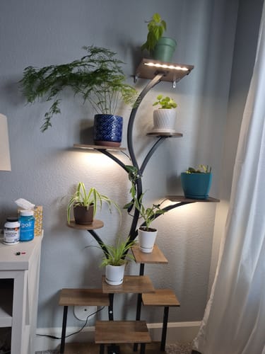 Customer photo review of 63" Indoor Plant Stand with Grow Lights