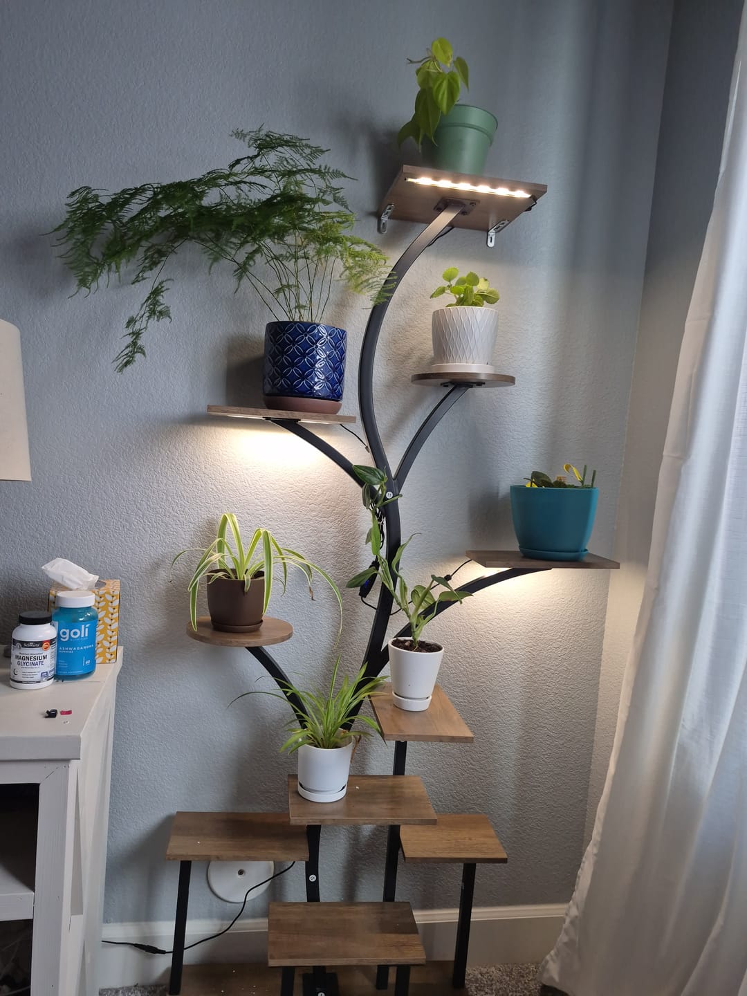 Customer photo review of 63" Indoor Plant Stand with Grow Lights