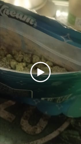 Customer video review of Sugar Shake - 1oz