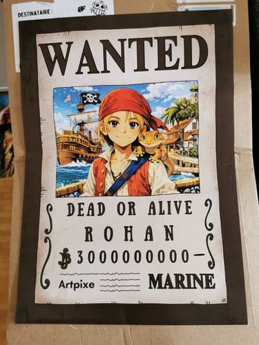 Customer photo review of Portrait manga personnalisé | One Piece
