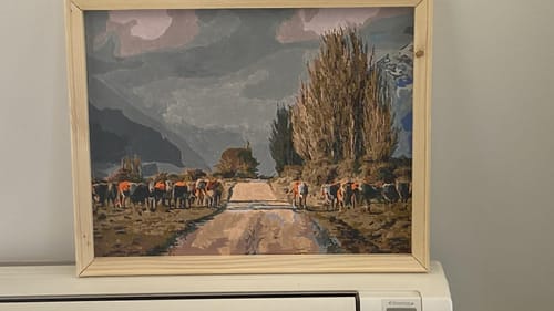 Customer photo review of Glen Lyon Heifers