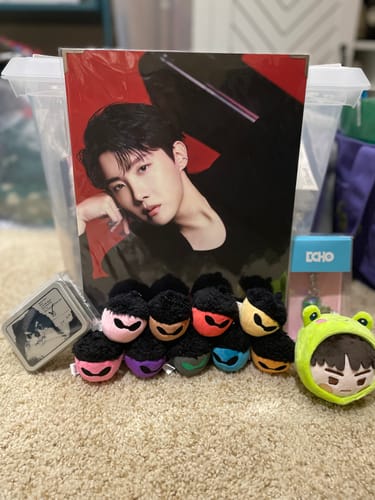 Reviewer's K-POP RANDOM BOX contents, featuring a large j-hope poster, colorful acorn plushies, and other BTS merchandise.
