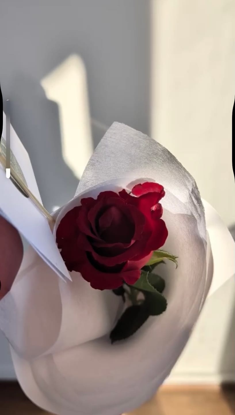 Customer photo review of Single Rose