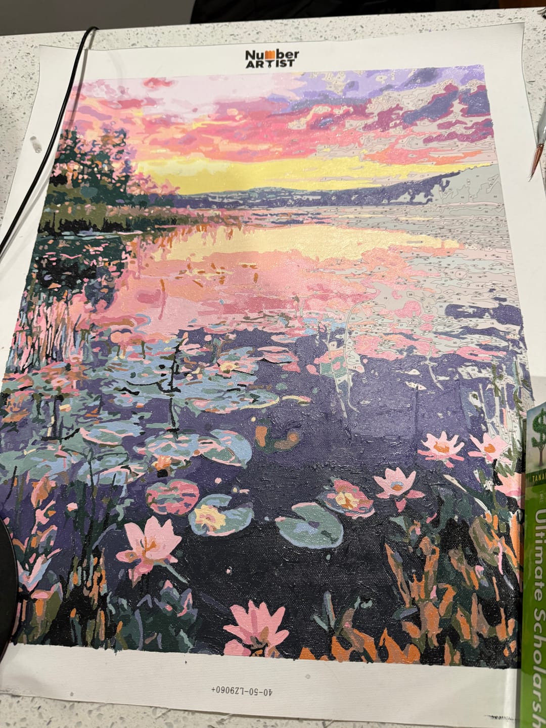Customer photo review of Lily Sunset