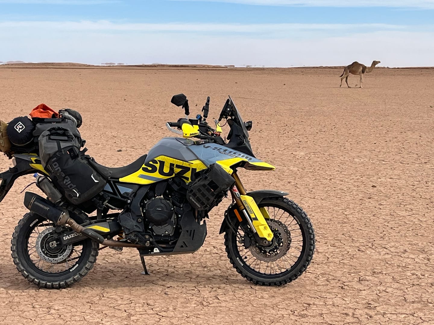 Customer photo review of ADVBags 70 – Rackless Saddle Bags
