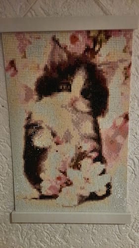 Kundenbewertung mit Foto zu Kätzchen